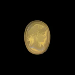 El Kader Cameo