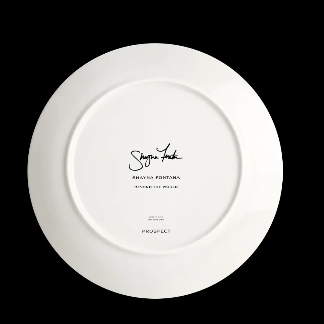 Pasta La Vista Dinner Plate Set