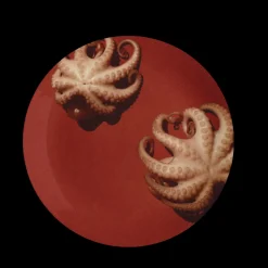 Polypous Dinner Plate Set