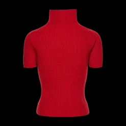 Short-Sleeved Turtleneck