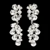 Teardrop Crystal Earrings