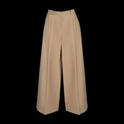 Wide Leg Pleated Trousers